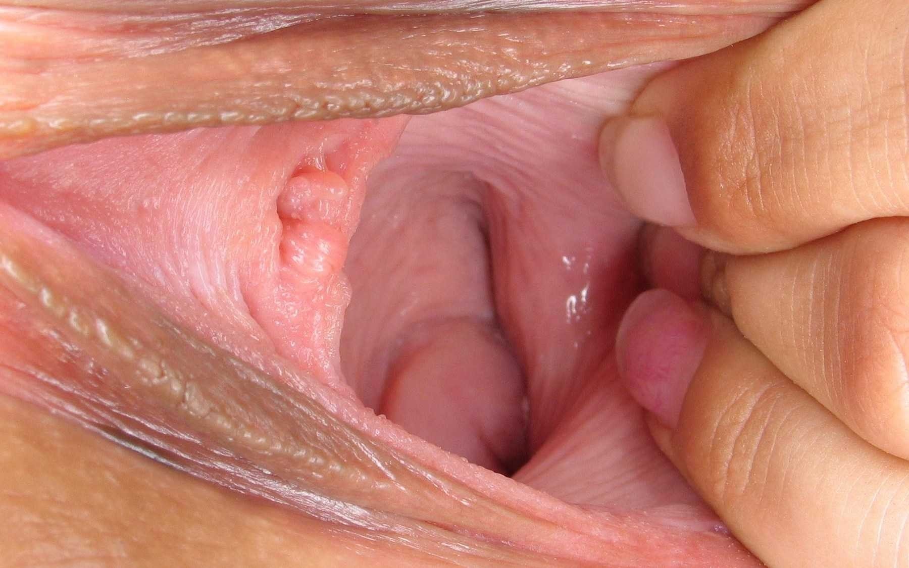 Closeup open pussy
