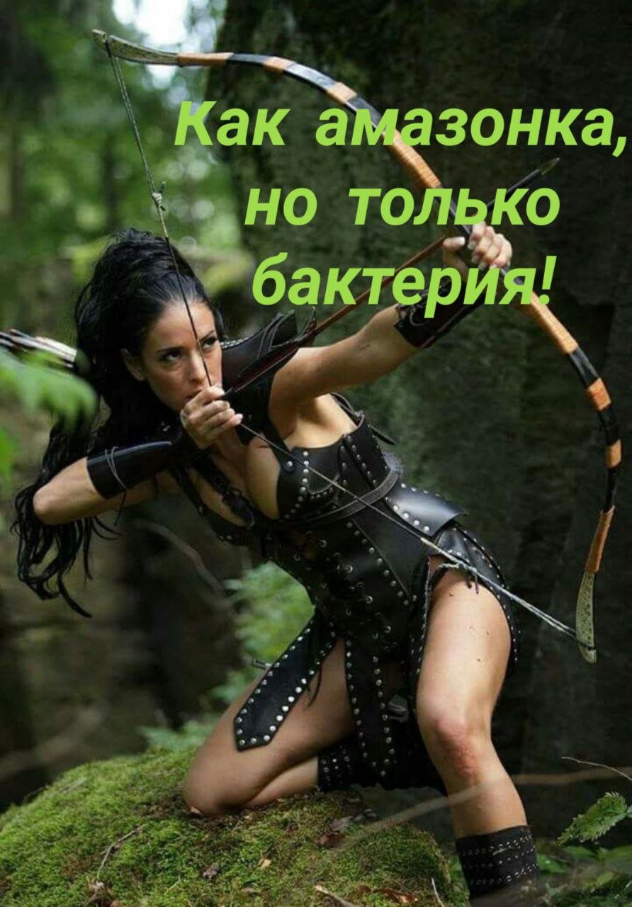 Erotic fantasies of men