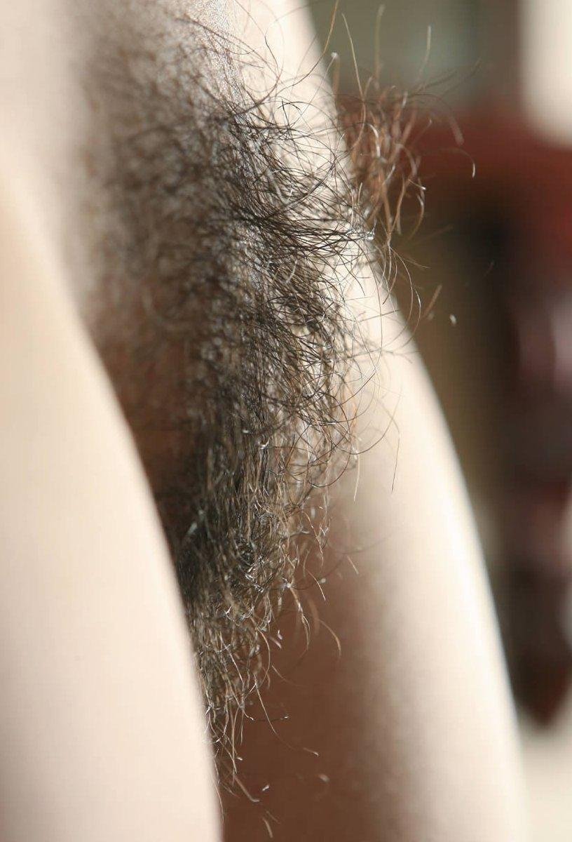 Beautiful fluffy pubis