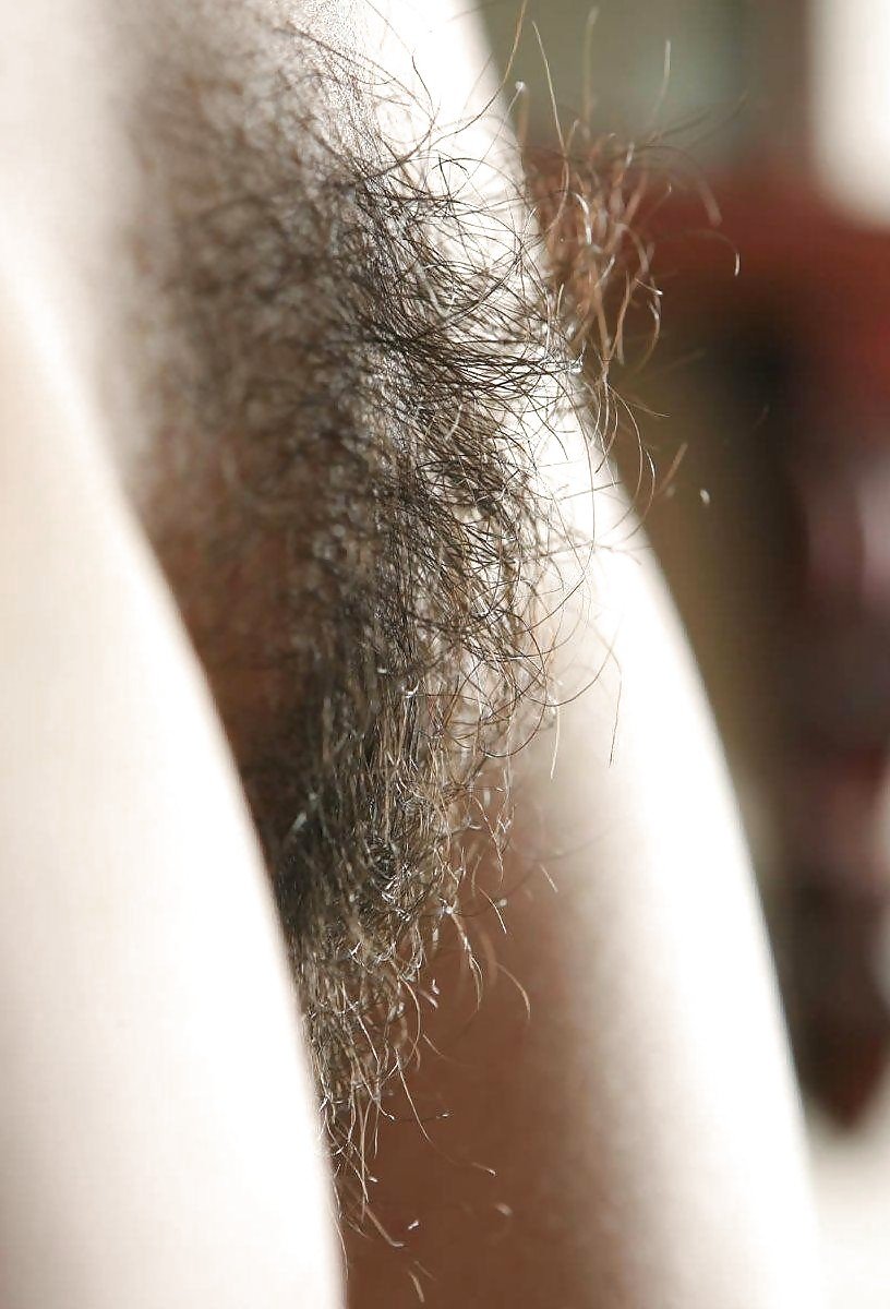 Beautiful hairy female pubis