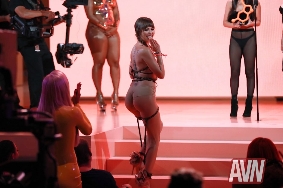 Pornhab Avardes 2019 Winners