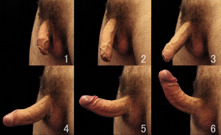 Beautiful shaved huge penis