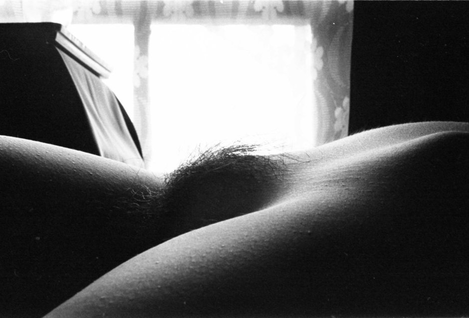 Venin Bugor Mons Veneris