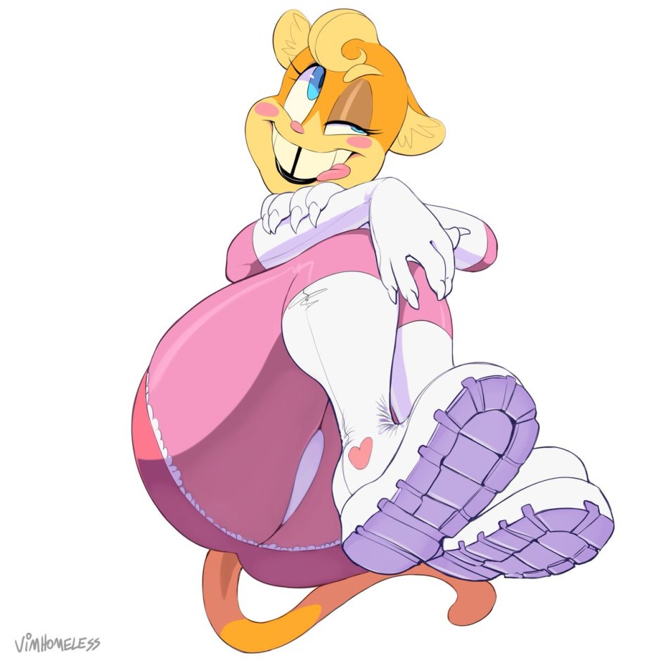 Vimhomeless mouse