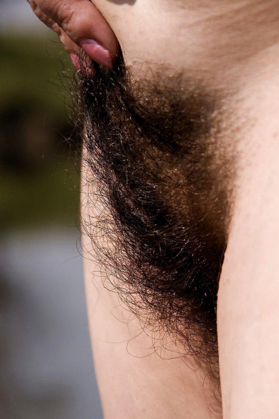 Beautiful hairy women