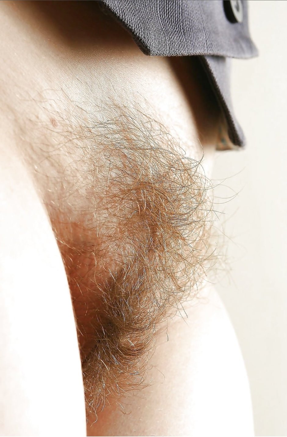 Brown hair on the pubis