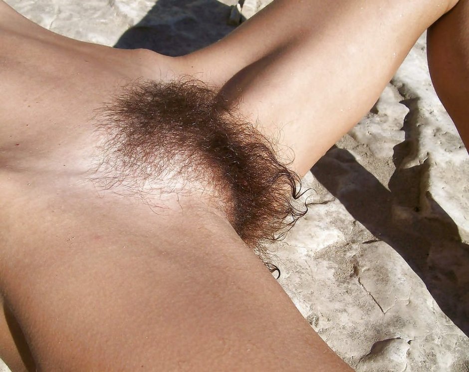 Hairy pubis amateur
