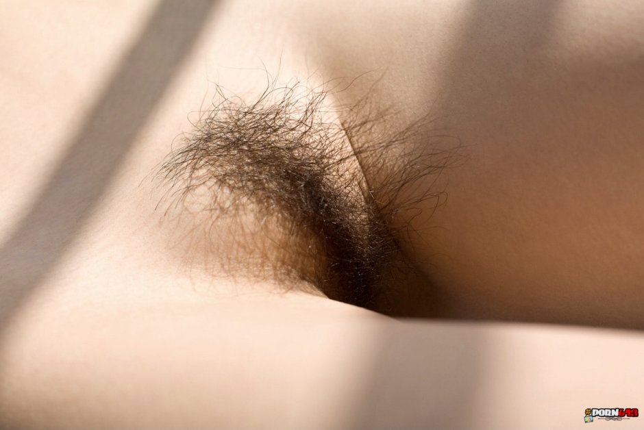 Young hairy girls