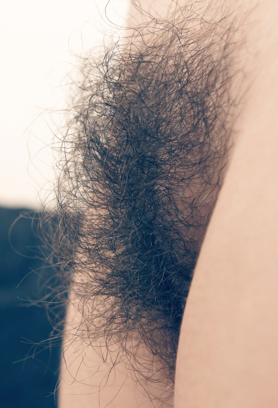 Boar with hairy pubis