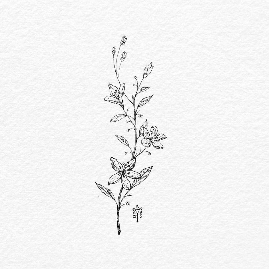 Flowers illustration