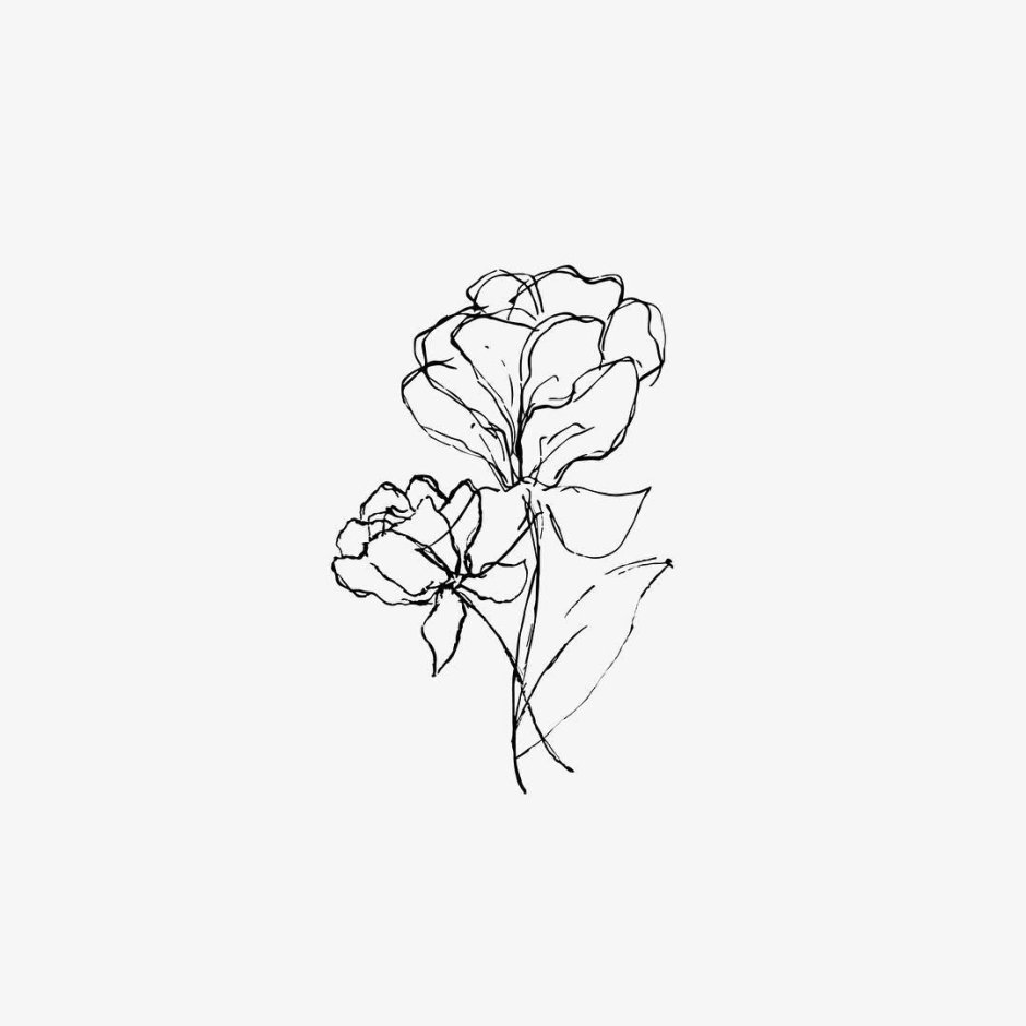 Minimalism with a pencil