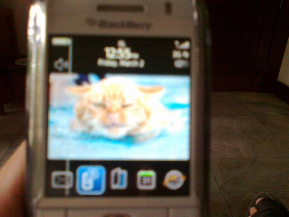 Blackberry Pearl 3G 9100 smartphone