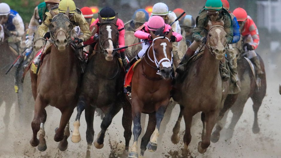 Tiz The Law Horse