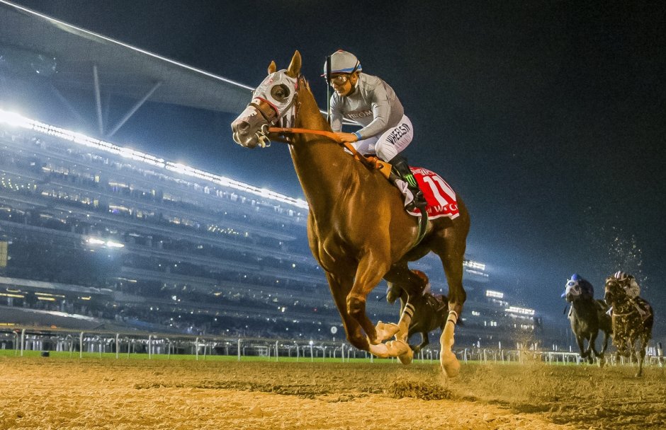 Curses Irish derby 2021 watch online for free