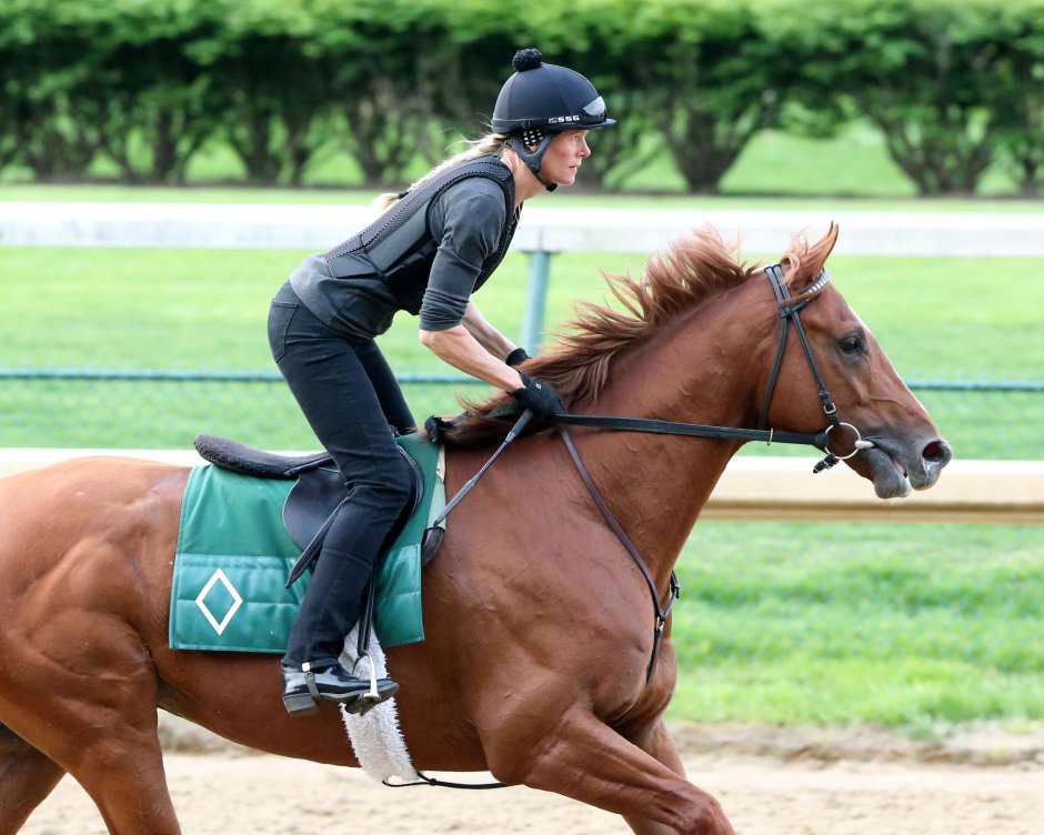 Derby Hors Clothes