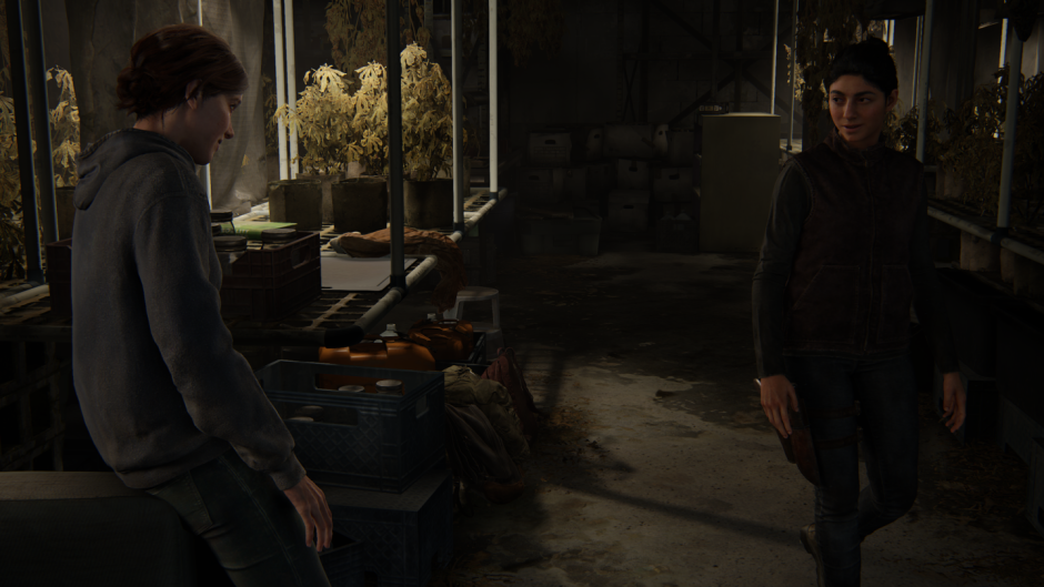 Ellie and Dina The Last of US 2 Bed Scene