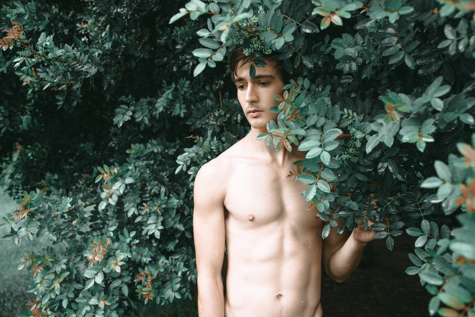 Matt Sabatino   Model Aronik