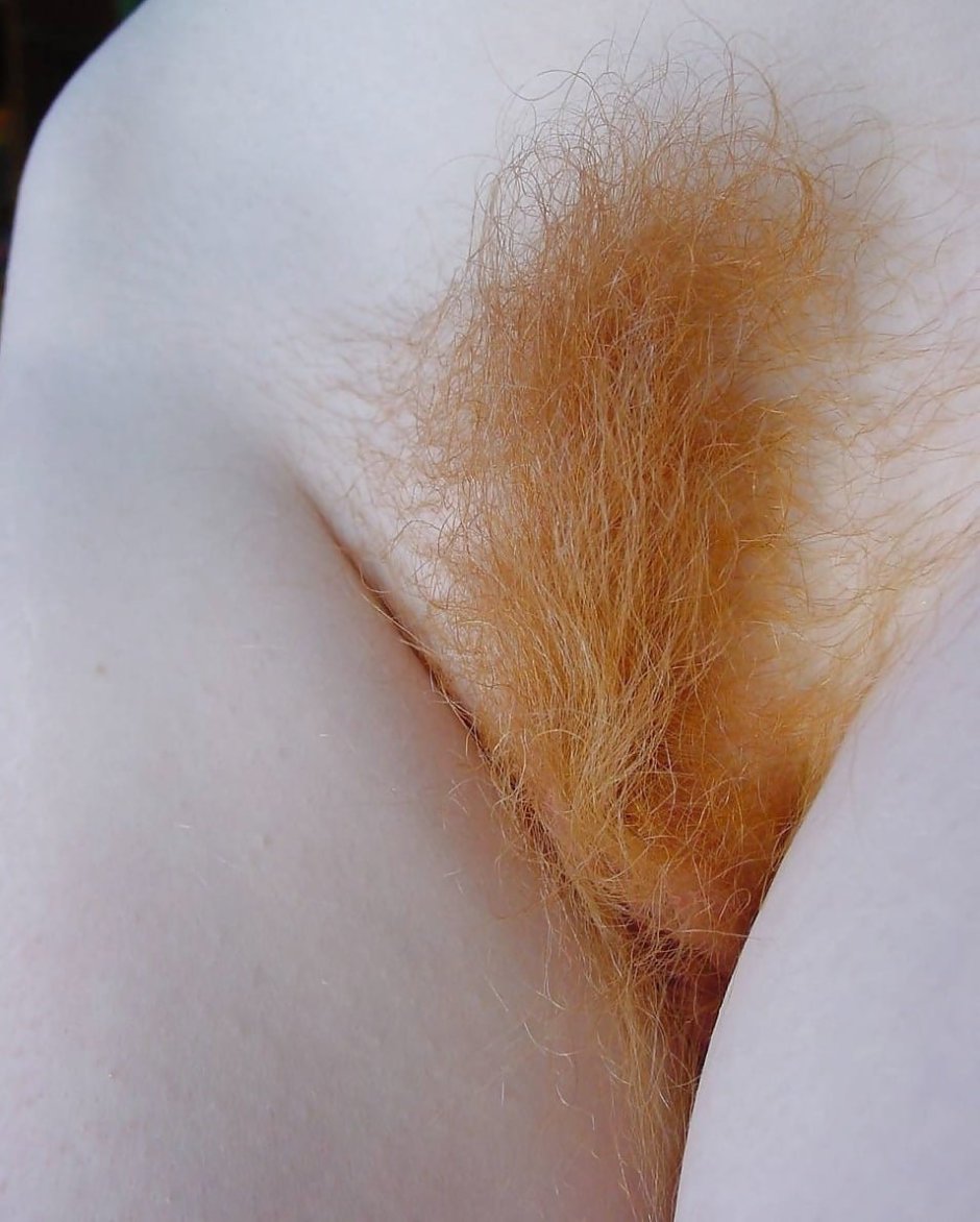 Light hair on the pubis