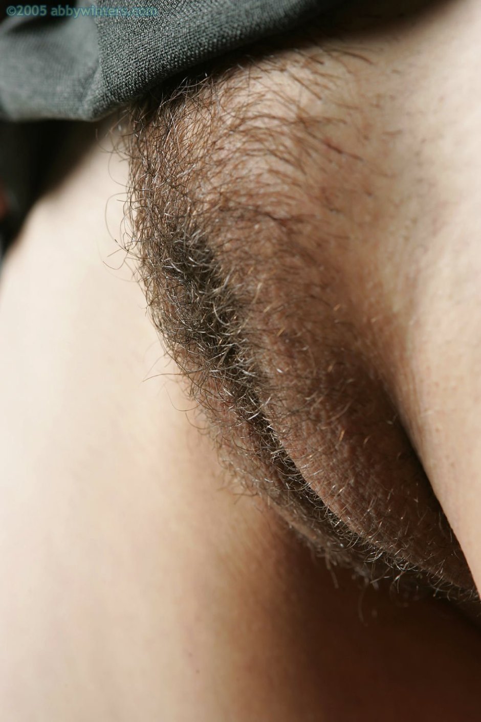 Beautiful hairy female pubis