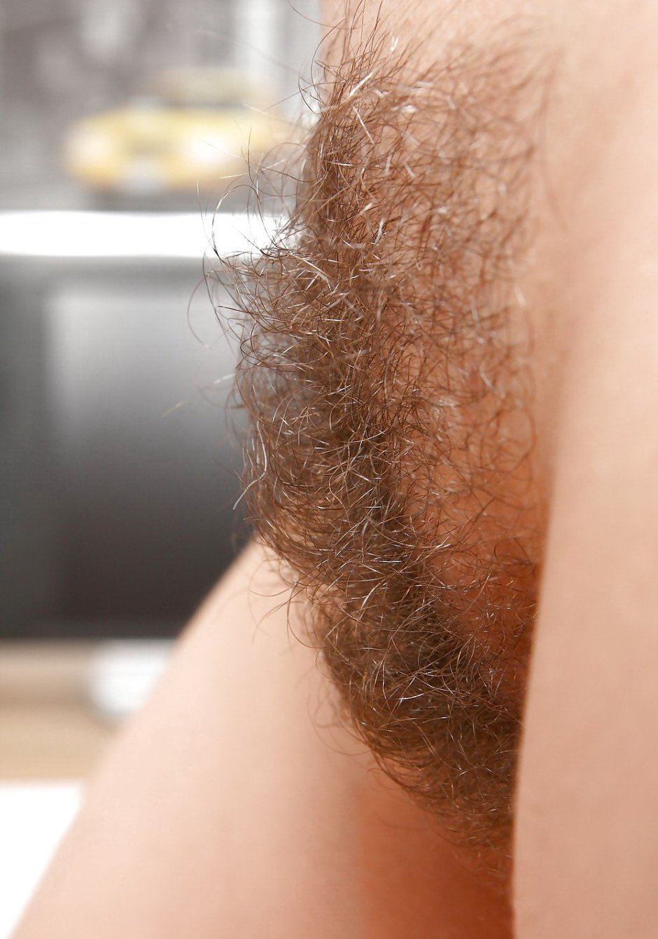Light hair on the pubis
