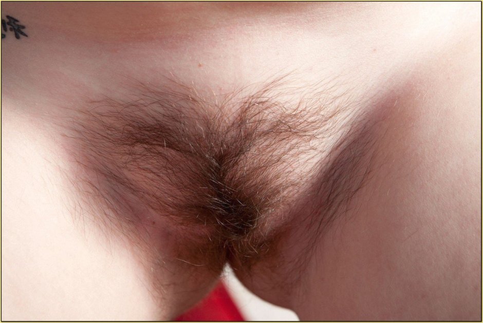 The first hair on the pussy