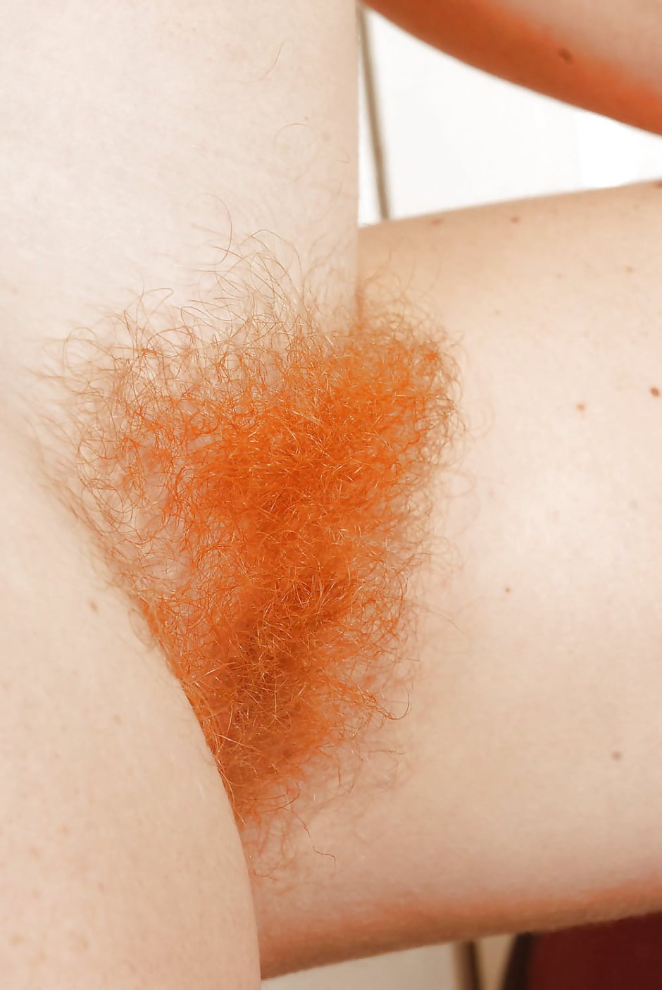 Light hair on the pubis