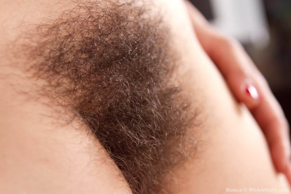 Beautiful hairy pubis