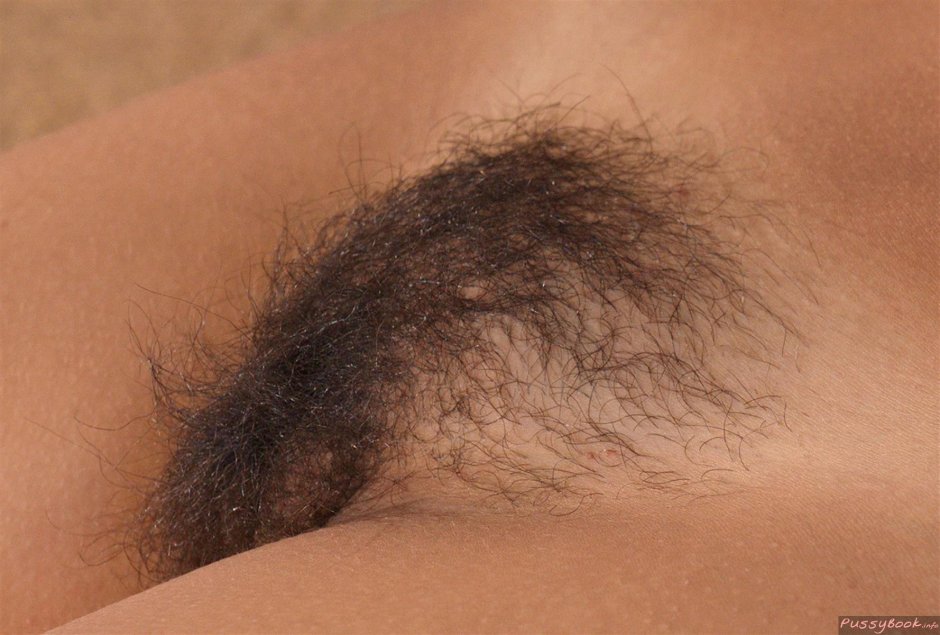 Brown hair on the pubis