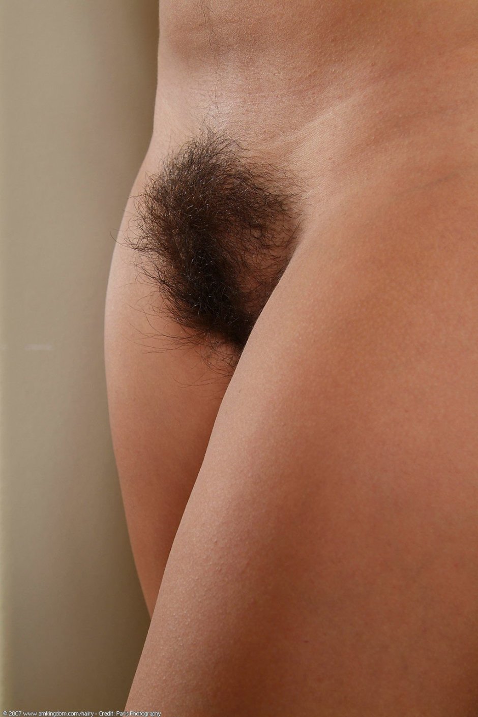 Beautiful hairy female pubis
