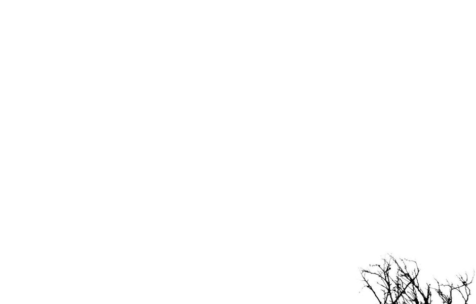 Women's silhouette sketch
