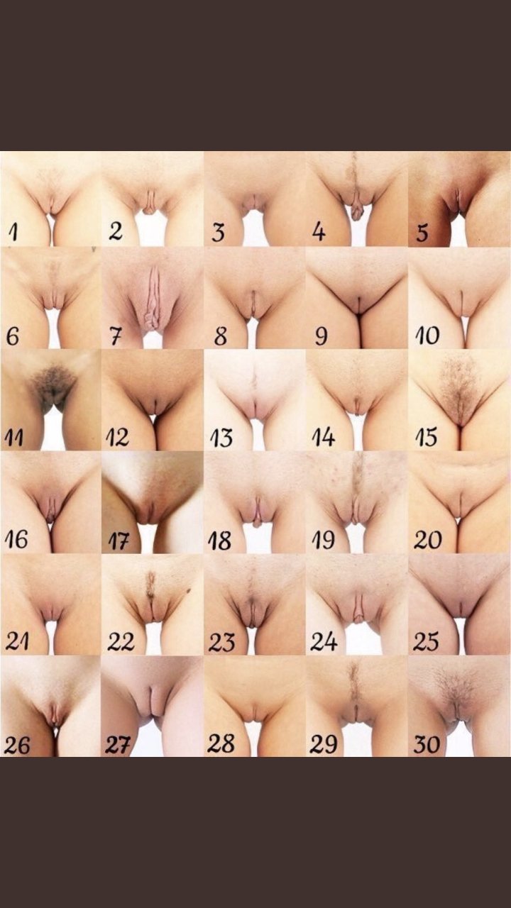 Pussy Types Pic - 58 porn photo