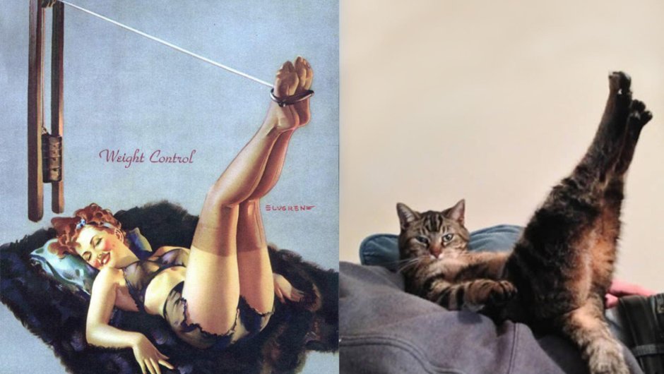 Men's erotic magazines