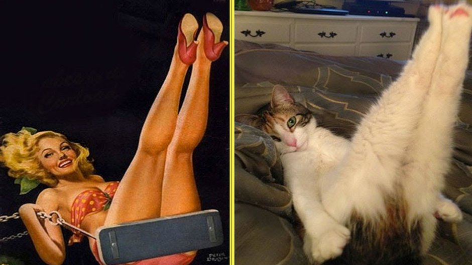 Beautiful pussies of girls