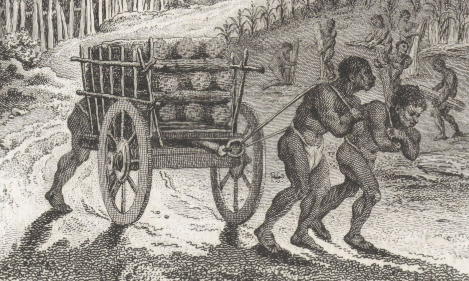 Naked slaves and slaves together