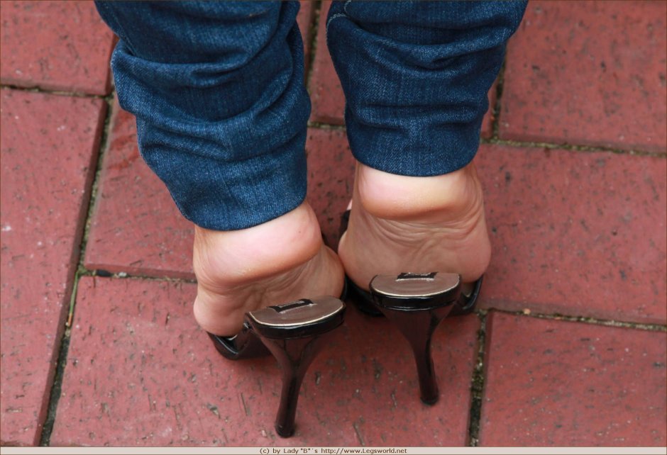 Lady Barbara Mules