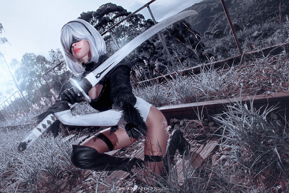 Nier 2b +18