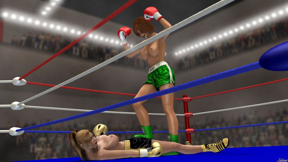 Mixed Fight Pov Box