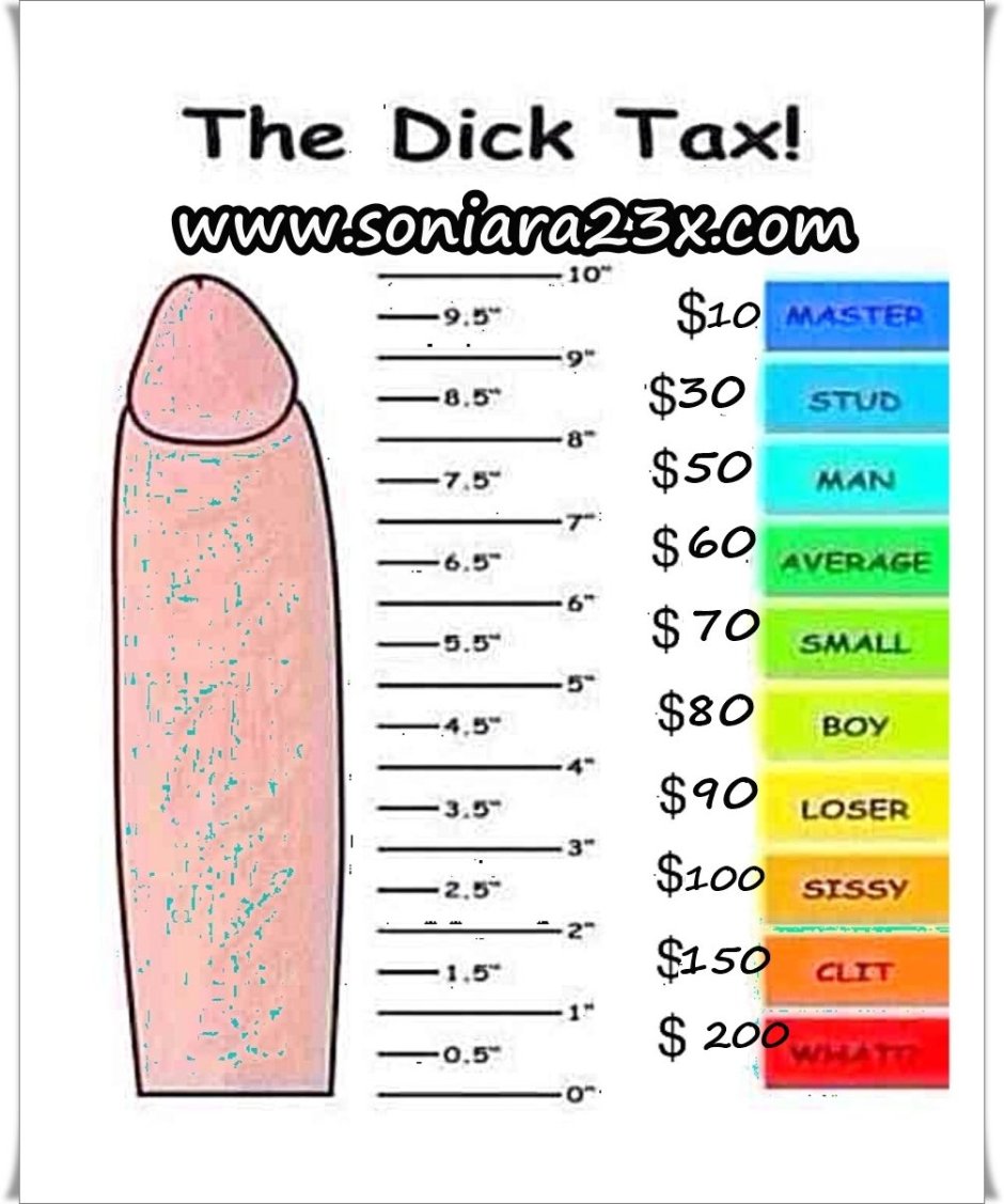 Average penis size of a porn star