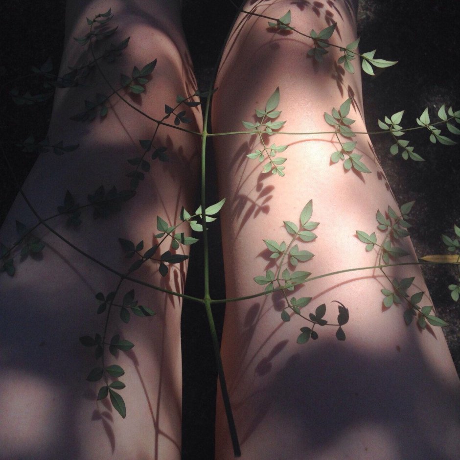 Aesthetics of brown and green