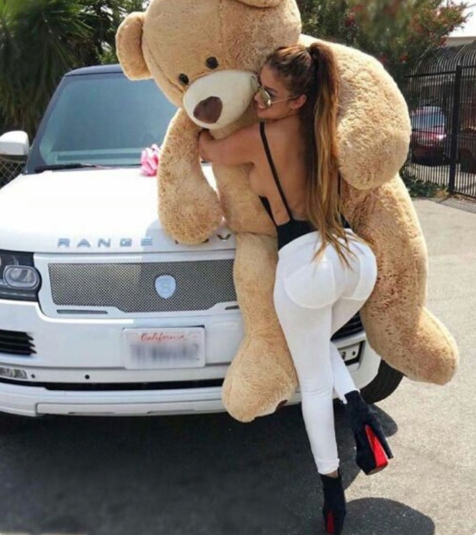 Humping Teddy