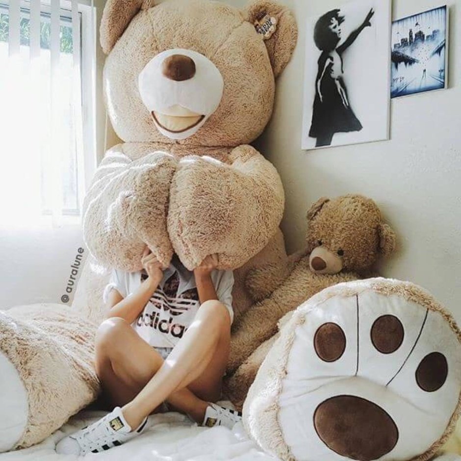 Big Bear Guy