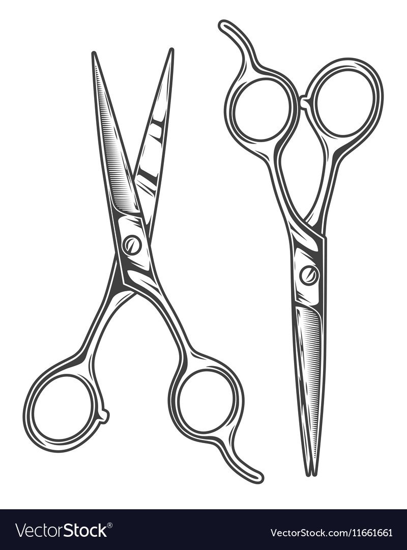 Sketch scissors hairdressers