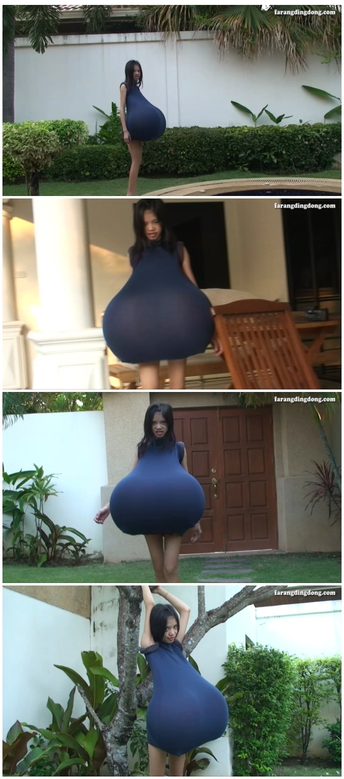 Ting Hiafen and Farang Ding