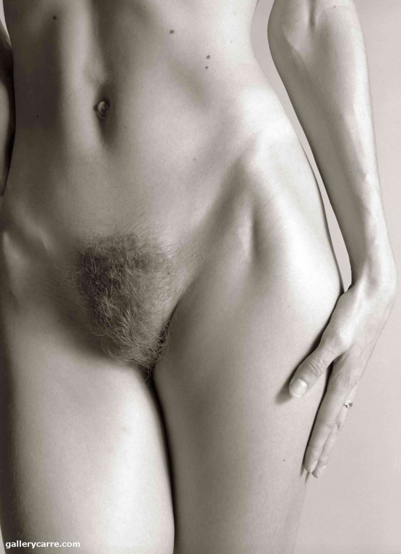Pubic hair model
