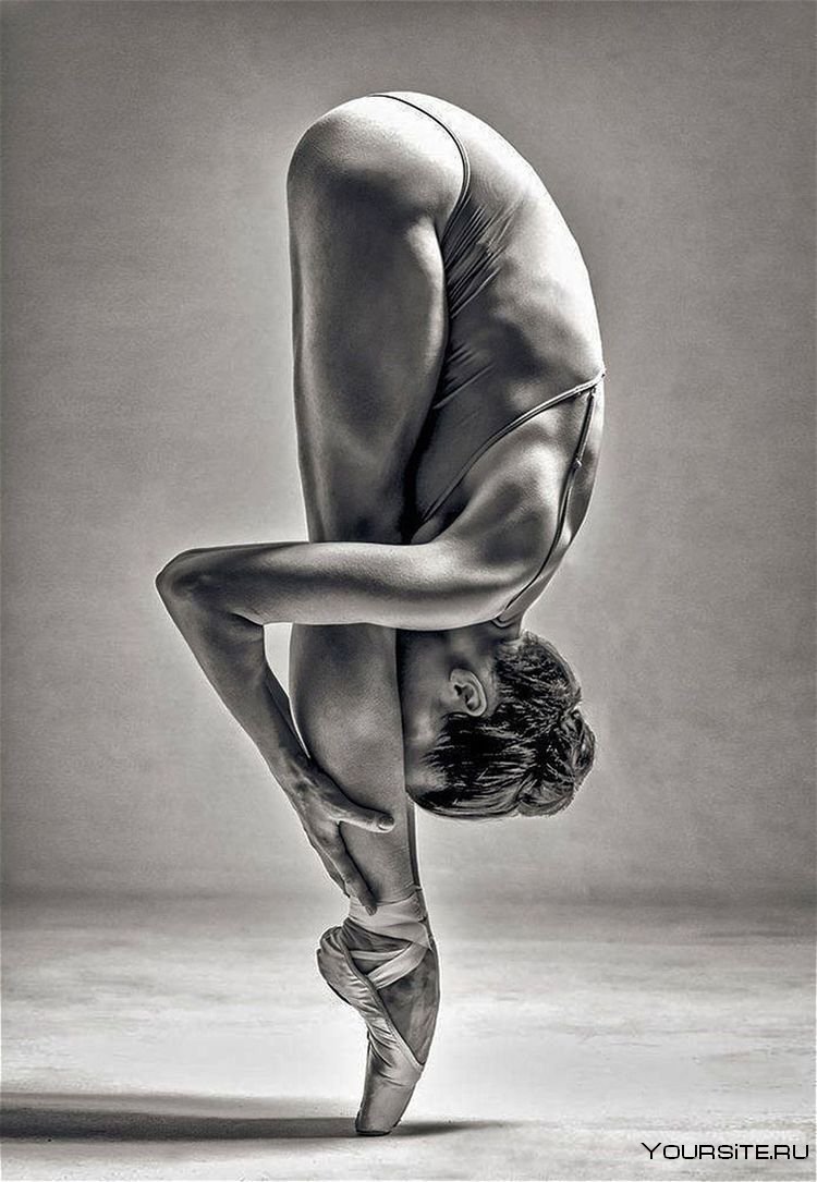 Gymnast girls