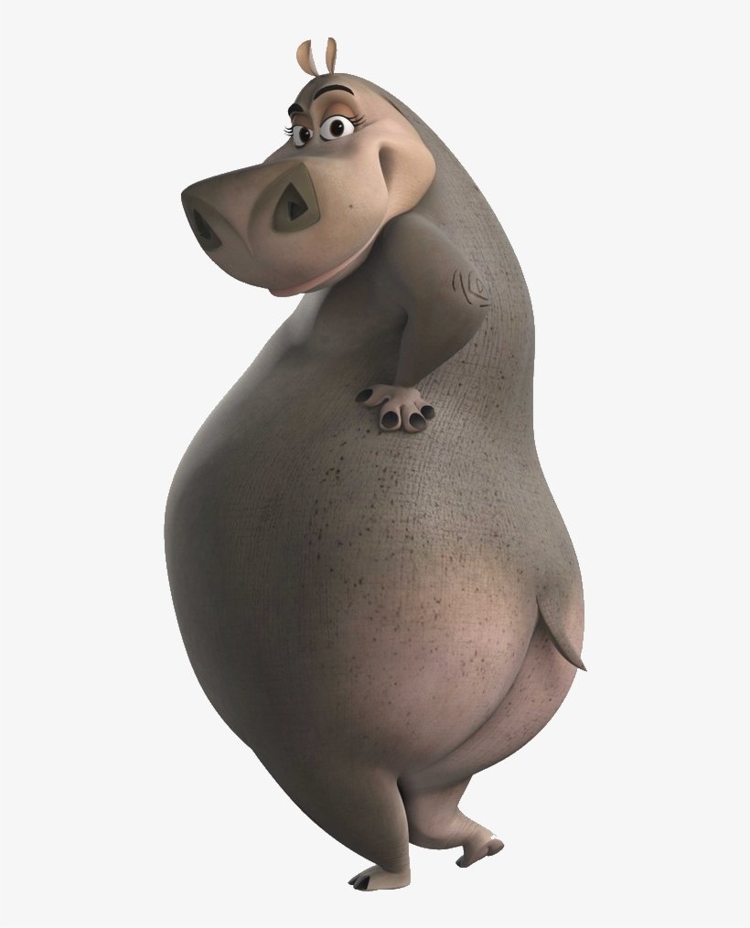 Madagascar Fat Belly Gloria
