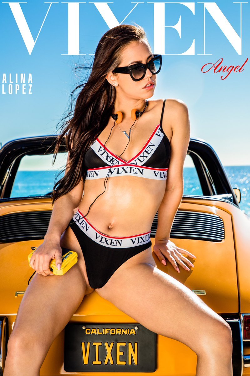 Vixen model