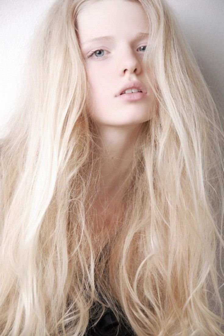 Maurin Flaster