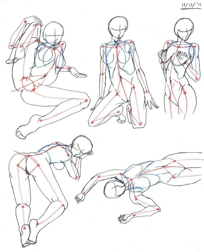 Anatomy pose references