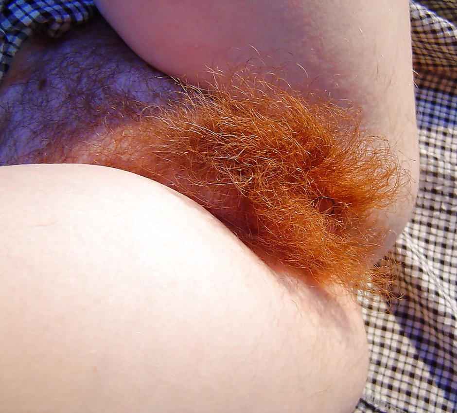 Red -haired hairy crotch